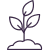 Dollar Icon